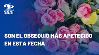 Así es el proceso de las flores que llegan desde Colombia a EE UU para San Valentín [upl. by Imre260]