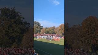 Spieler von Babelsberg und Halle klatschen sich ab babelsberg regionalliganordost fussball [upl. by Einhoj]