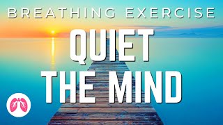 Breathing Exercises with Guided Meditation  5 Minutes  TAKE A DEEP BREATH [upl. by Nnylarak]