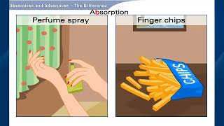 Understand Absorption and Adsorption Chemistry  Class 9 [upl. by Fasano926]