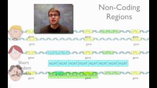 DNA Fingerprinting [upl. by Plath]