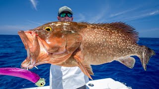 GIANT Deep Sea Grouper Catch Clean Cook [upl. by Holub147]