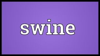 Swine Meaning [upl. by Anitsugua315]