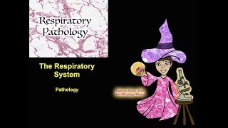 The Respiratory System Pathology [upl. by Coltun]