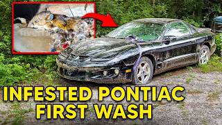 ABANDONED Moldy Pontiac Firebird Left to RUST  First Wash In 10 Years  Car Detailing Restoration [upl. by Ennayllek]