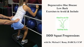 Degenerative Disc Disease Exercises to Avoid amp Include  Squat Progressions [upl. by Nickolas557]