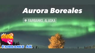 Aurora Boreales Fairbanks Alaska [upl. by Ahsik466]