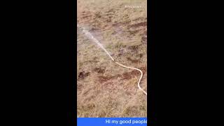 Irrigation skills [upl. by Kelton]