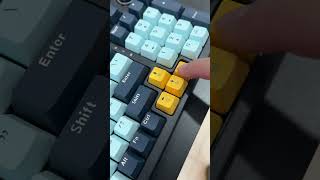 Keyboard Gaming Mechanical Fantech Atom 96 V2 Fullsize Sound Test keyboard keyboardgaming [upl. by Lekzehcey]