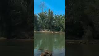 Umtrew River at Umsning ribhoidistrict meghalaya greenriver [upl. by Wartow]