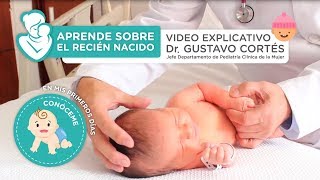 Aprende sobre el recién nacido  Vídeo explicativo [upl. by Warram]