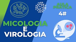 Micologia e Virologia  AULA PRÁTICA 4 [upl. by Kristof]