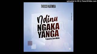 Ndinu Ngaka Yanga  Thoko Katimba Official audio 2021 [upl. by Arst286]