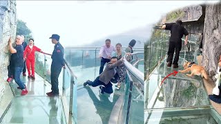 People are terrified to cross glass bridge  Glass bridge crack effect  Glass bridge funny moments [upl. by Lore917]