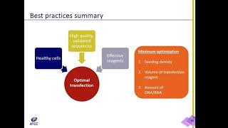 How to select the right reagents for your transfection experiment [upl. by Shepherd90]