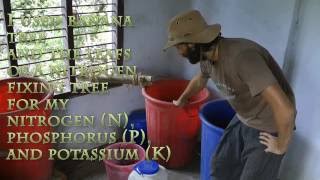 FREE  Homemade Plant fertilizer [upl. by Anan]