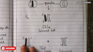 Crossing Over class 12 Hindi Genetics Meiosis Biology [upl. by Ytsirc]