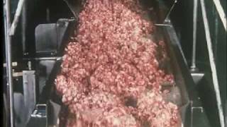 Jazzy Meat Processing Educational Film  23 [upl. by Adiasteb]