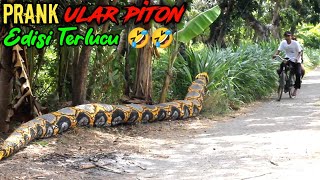 Video Lucu  Prank Ular Piton Bikin Kocarkacir  Asli Bikin Ngakak 🤣🤣 [upl. by Kentigerma]