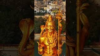 Bam Bam bhole nath ji viralvideo love herhermhadev shortvideo song herhermahadev [upl. by Lednew]