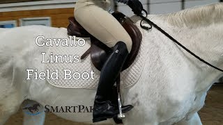 Cavallo Linus Field Boot Review [upl. by Swee]