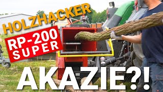 RAN AN DIE AKAZIE HOLZHACKER RP200 SUPER REMET CNC [upl. by Triny298]