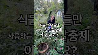 천연 유기농 살충제 최저가 공구✅식물고수의 필수템🌿 [upl. by Ecinad]