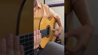 PicadoIndici guitar fingerstyleguitar flamencoguitarist [upl. by Anaiq]