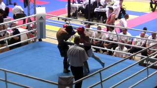 Igor Postnikov WAKO world championship 2012 SlovakiaBratislavaR1 [upl. by Powel266]