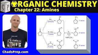 224e Synthesis of Amines Reductive Amination [upl. by Mable]