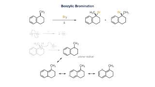 Bromination at the Benzylic Carbon [upl. by Neile513]