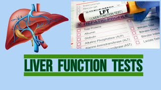 Liver function tests  LFT  SGPT SGOT ALP GGT  Bilirubin Albumin  ceruloplasmin  AFP [upl. by Rosenberger993]