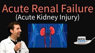 Acute Kidney Injury  Acute Renal Failure Explained Clearly  BUN Creatinine Ratio [upl. by Lemra]