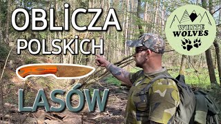 WİOSNA 2024  LAS  GŁOSY NATURY İNÓŻ DO BUSHCRAFTU przyrodapolska biwak las [upl. by Atnoled]