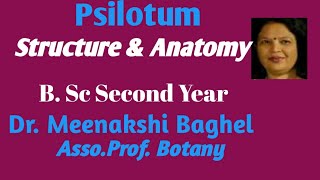 Psilotum Structure amp Anatomy [upl. by Amlev]