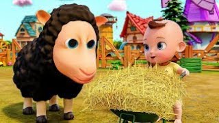 Sheep farm cartoon sheep Coco melon baby cartoon [upl. by Einapets600]