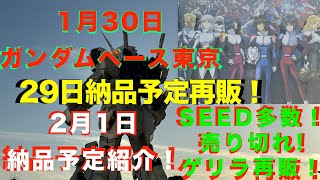 【ガンプラ再販】【悲報】機動戦士ガンダムSEED 系売り切れ続出！ゲリラ再販ガンダム1ST限定品多数復活！29日納品予定並ぶ！2024年1月30日ガンダムベース東京2月1日納品予定紹介！ [upl. by Housum48]