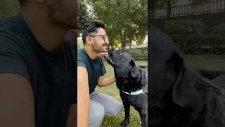 Lucky Ke Sath Outing doglover lucky [upl. by Ellinad]