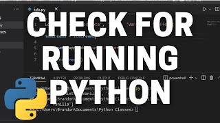 How to Check for Other Running Python Scripts in Python  Python Process Tutorial [upl. by Michi]