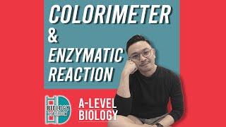 ALevel Biology  Colorimeter amp Enzymatic reaction [upl. by Weismann776]