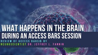 Review of Access Bars® by Neuroscientist Dr Jeffrey L Fannin [upl. by Hteik]