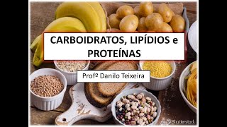 Carboidratos Lipídios e Proteínas [upl. by Haimarej901]