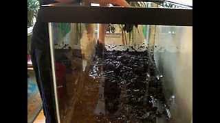 Setting Up My 75 Gallon Aquarium With An Organic Dirt Substrate [upl. by Conant]