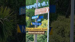 Baldwin Street  The Steepest Street in the World newzealand dunedin street record [upl. by Felix]