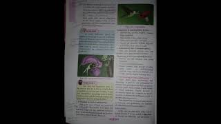 Class 12 reproduction in lower and higher plants  most important textbook notes shorts  class12 [upl. by Eilujna]