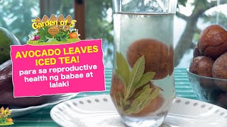 Garden of E Avocado Leaves Iced Tea para sa Reproductive Health [upl. by Tselec982]