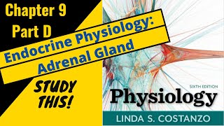 Costanzo Physiology Chapter 9D Endocrine Physiology Adrenal Gland  Study This [upl. by Allez]