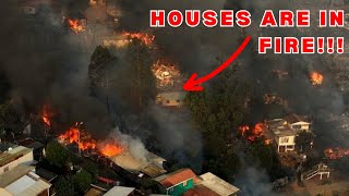 Shocking Footage 2024 Chile Forest Fires Exposed [upl. by Gearard]