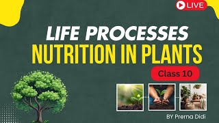 Life Processes🔥 Nutrition in Plants  CLASS 10 Science  NCERT line by line [upl. by Enoob]