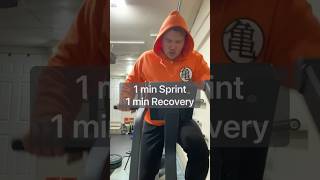 Echo Bike 1 min Sprint 1 min Recovery echobike garagegym homegym [upl. by Haon]